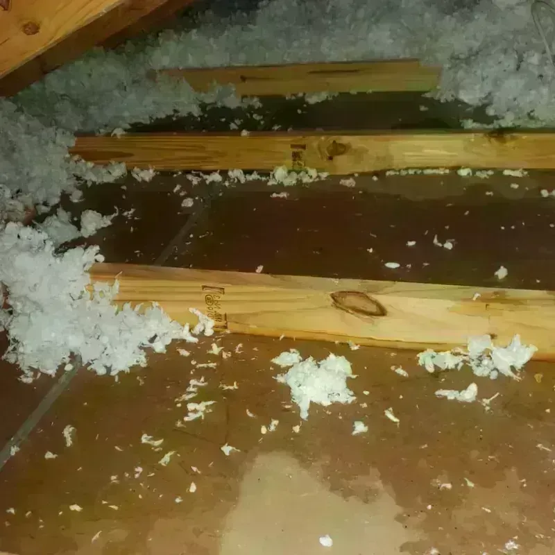 Attic Water Damage in Sound Beach, NY